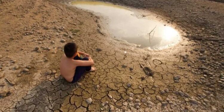 महाराष्ट्र के नासिक जिले के बोरीचिवारी गांव में पानी का संकट गहराया है. बोरीचिवारी गांव के लोग बूंद-बूंद