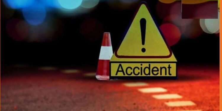 मध्य प्रदेश-राजस्थान बॉर्डर पर भीषण सड़क हादसे, युवक जिंदा जला