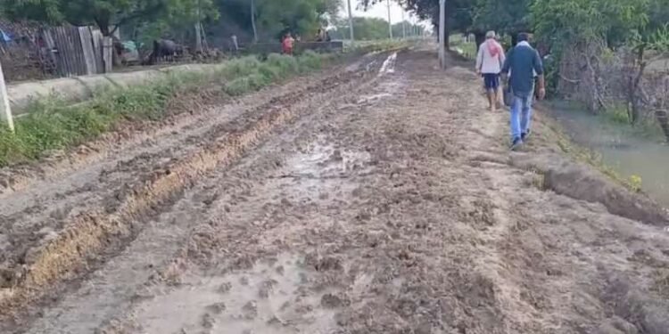 रीवा की महना नदी ने डुबाया पुल, ऑटो से अस्पताल जा रही गर्भवती की मौत