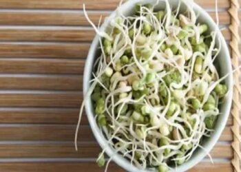 स्प्राउट का सेवन बड़ा फायदेमंद