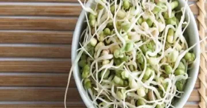 स्प्राउट का सेवन बड़ा फायदेमंद
