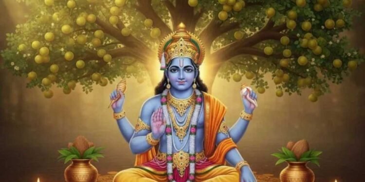 आज है आंवला नवमी, माता लक्ष्मी की कृपा पाने के लिए करें इस व्रत कथा का पाठ, मिलेगा शुभ फल