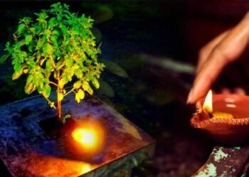 किस-किस दिन तुलसी पूजन है वर्जित, और किस दिन घर में तुलसी लगाना है शुभ!