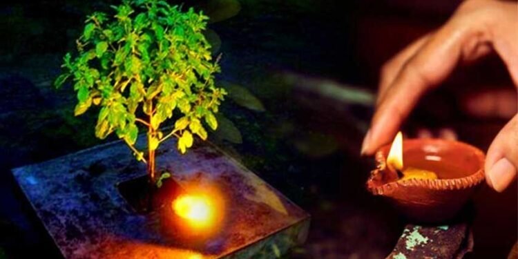 किस-किस दिन तुलसी पूजन है वर्जित, और किस दिन घर में तुलसी लगाना है शुभ!