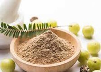 डायबिटीज से लेकर इन बीमारियों के लिए फायदेमंद है आंवला पाउडर, जानिए सुबह सेवन करने का तरीका