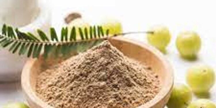 डायबिटीज से लेकर इन बीमारियों के लिए फायदेमंद है आंवला पाउडर, जानिए सुबह सेवन करने का तरीका
