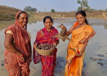 महिला स्व-सहायता समूह की मेहनत रंग लाई, मछली पालन और सिंघाड़ा खेती से बढ़ी आमदनी