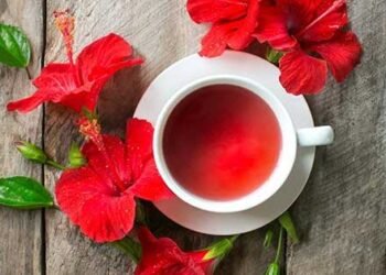 गुड़हल फूल की चाय डायबिटीज और कोलेस्ट्रॉल के अलावा इन रोगों पर करता है बड़ा कंट्रोल