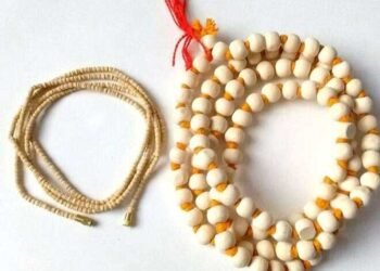 तुलसी माला पहनने के नियम जान लें, कहीं उल्टा न पड़ जाए, इसके लाभ भी पढ़ें