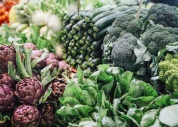 थकान, तनाव जैसी दिक्कतों को दूर करता है ये ‘भूला हुआ मिनरल’, जानें किन स्त्रोतों से करें पूर्ति