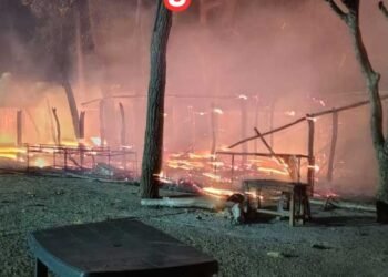 छत्तीसगढ़ में मैनपाट के टाइगर पाइंट में लगी भीषण आग, एक दर्जन दुकानें जलकर हुईं खाक