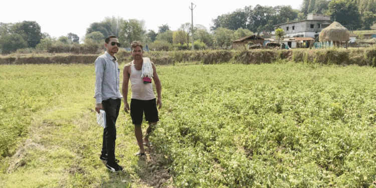 राष्ट्रीय बागवानी मिशन से किसानों को संबल : उन्नत तकनीक से टमाटर खेती में बढ़ा उत्पादन और मुनाफा