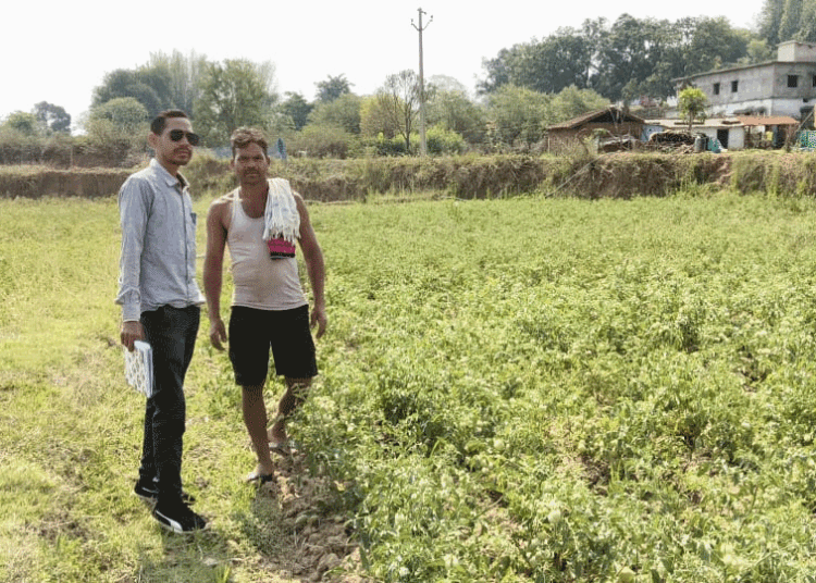 राष्ट्रीय बागवानी मिशन से किसानों को संबल : उन्नत तकनीक से टमाटर खेती में बढ़ा उत्पादन और मुनाफा