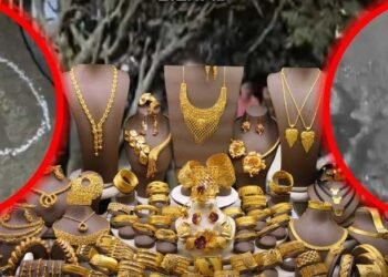 बिलासपुर में 3.35 करोड़ की सराफा लूट : यूपी में शॉर्ट एनकाउंटर के बाद 4 आरोपी गिरफ्तार, बीट सिस्टम और हाईटेक पुलिसिंग ने दिखाई असर