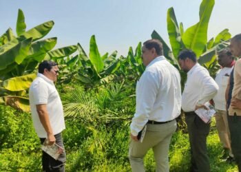 खाद्य तेल में आत्मनिर्भरता की ओर छत्तीसगढ़