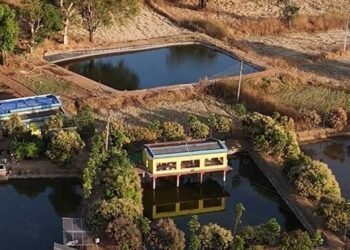 अपनी मेहनत और नवाचार से खेती को नई पहचान दे रहा – युवा किसान अंकित