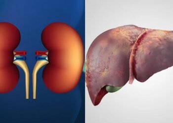 लिवर किडनी को साफ करने में असरदार है 3 सब्जियां