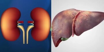 लिवर किडनी को साफ करने में असरदार है 3 सब्जियां