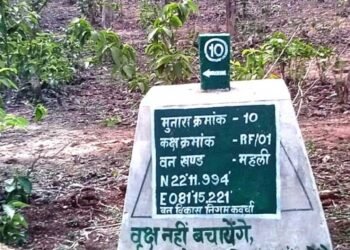 227 मुनारों का निर्माण ,वनों की सुरक्षा को मिला नया कवच