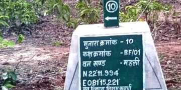 227 मुनारों का निर्माण ,वनों की सुरक्षा को मिला नया कवच