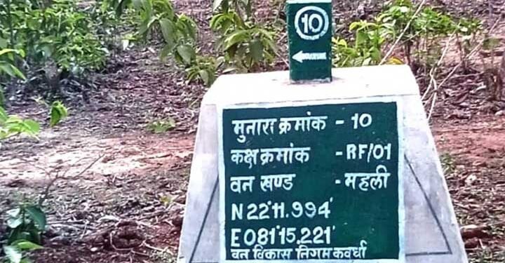 227 मुनारों का निर्माण ,वनों की सुरक्षा को मिला नया कवच