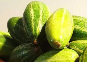 क्या आप जानते हैं? गर्मियों की इस ‘मामूली’ दिखने वाली सब्जी में छिपे हैं सेहत के 5 जादुई राज!