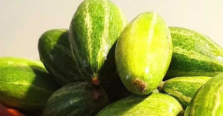 क्या आप जानते हैं? गर्मियों की इस ‘मामूली’ दिखने वाली सब्जी में छिपे हैं सेहत के 5 जादुई राज!