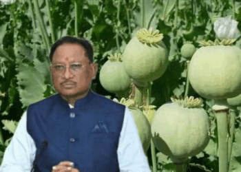 अफीम की अवैध खेती पर मुख्यमंत्री श्री विष्णु देव साय का कड़ा रुख