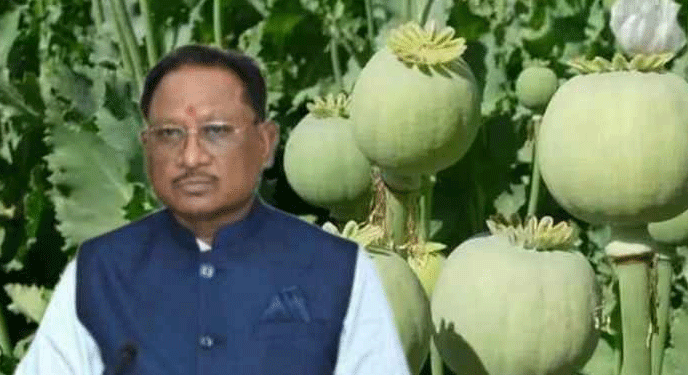 अफीम की अवैध खेती पर मुख्यमंत्री श्री विष्णु देव साय का कड़ा रुख
