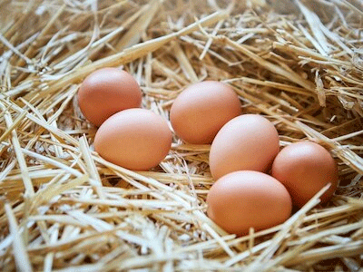 मिडिल ईस्ट में चलीं मिसाइलें…और भारत में सस्ते हो गए अंडे! अजीब लग सकता है, पर सच है; जानें कैसे