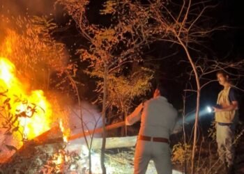 होली के दिन भी वनों की सुरक्षा में जुटे रहे वनकर्मी