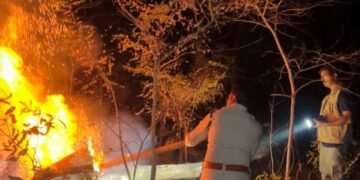 होली के दिन भी वनों की सुरक्षा में जुटे रहे वनकर्मी