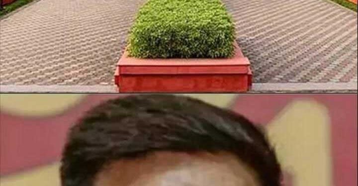 लंबी हिरासत पर हाईकोर्ट की टिप्पणी, अनिल टुटेजा को जमानत