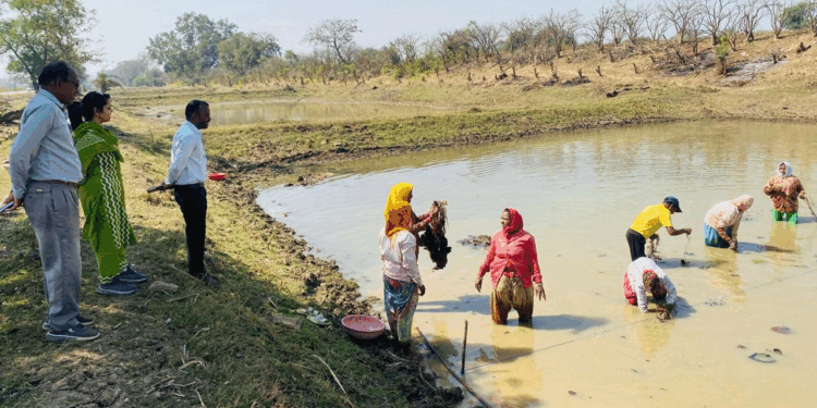 अंतर्राष्ट्रीय महिला दिवस पर विशेष लेख : अंतर्राष्ट्रीय महिला दिवस: स्व-सहायता समूहों के माध्यम से आत्मनिर्भर बन रहीं धमतरी जिले की महिलाएं