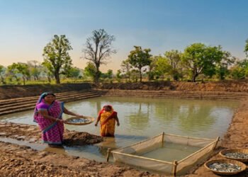 तालाब मेरे लिए केवल एक गड्ढा नहीं, भविष्य की उम्मीद, शासन के 2.75 लाख से तालाब का निर्माण