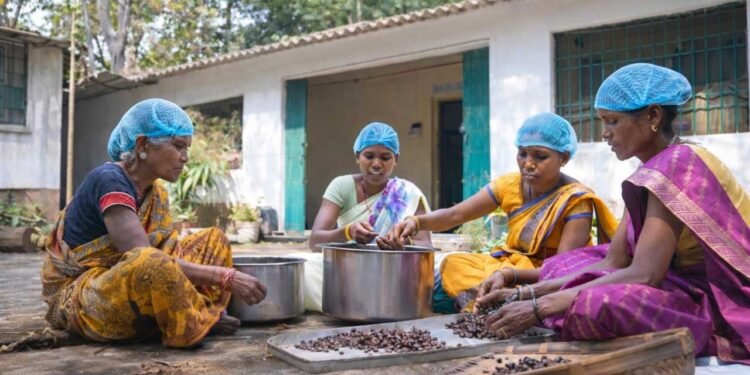 वन धन विकास केंद्र पंचक्की : स्व-सहायता समूहों को 23 लाख से अधिक की वार्षिक आय