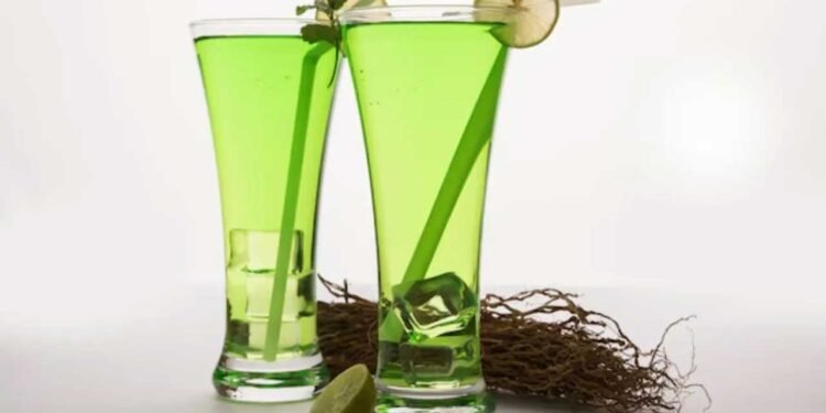 एनर्जी का पावरहाउस! थकान और कमजोरी को जड़ से मिटा देगा खसखस, गर्मियों में ऐसे करें इस्तेमाल