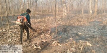  तकनीक और तत्परता से सुरक्षित हो रहे कवर्धा के जंगल