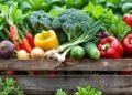 सब्जी खरीदने से पहले किन बातों का रखें ध्यान? जानिए, वरना हेल्थ को होगा भयंकर नुकसान!