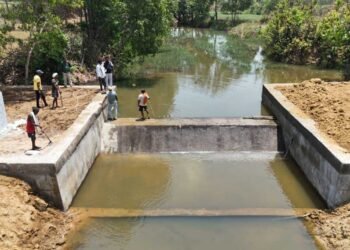 चेक डैम से बदली तस्वीर : जल संरक्षण ने गांवों को बनाया आत्मनिर्भर