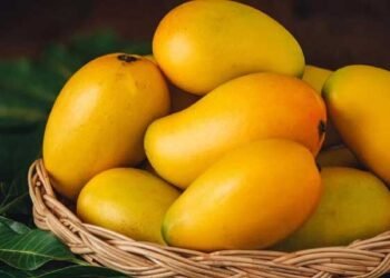 आम खाने से पहले यहां जान लीजिए, आपको खाना चाहिए या नहीं, किसे है ख़तरा?