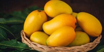 आम खाने से पहले यहां जान लीजिए, आपको खाना चाहिए या नहीं, किसे है ख़तरा?