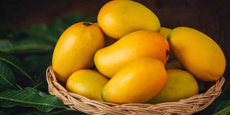 आम खाने से पहले यहां जान लीजिए, आपको खाना चाहिए या नहीं, किसे है ख़तरा?