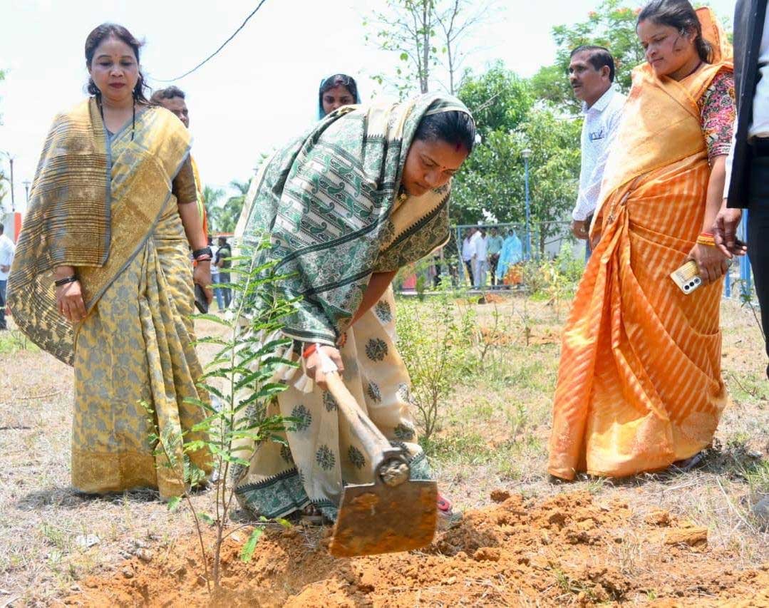 विश्व पर्यावरण दिवस पर मंत्री लक्ष्मी राजवाड़े ने किया पौधरोपण