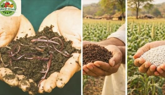 मुख्यमंत्री की विशेष पहल पर प्रदेश में पर्याप्त रासायनिक खाद उपलब्ध