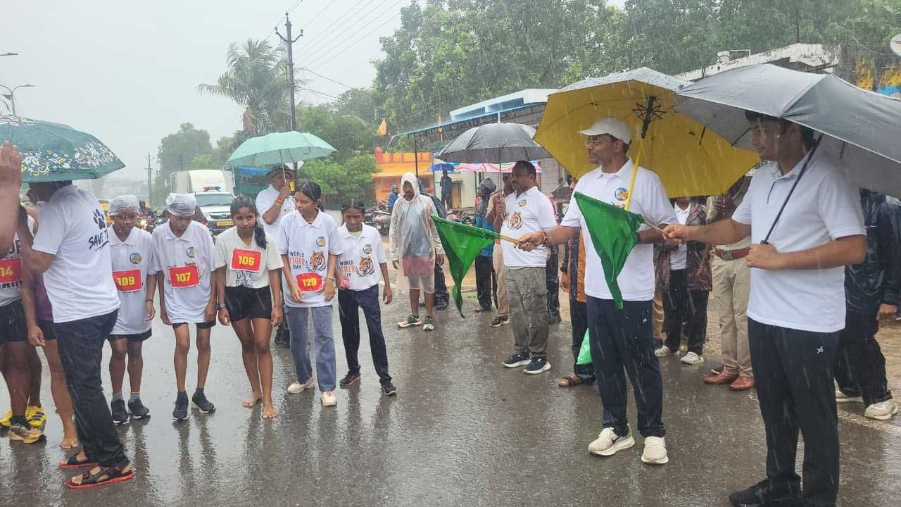  बारिश भी नहीं रोक सकी बाघ संरक्षण की मुहिम, इंद्रावती टाइगर रिजर्व में उमड़ा जनसैलाब