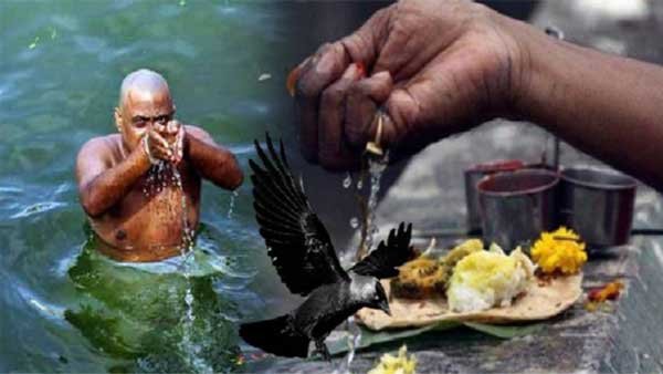 माता-पिता के श्राद्ध का अधिकार किसे? पुत्र न होने पर क्या हैं नियम