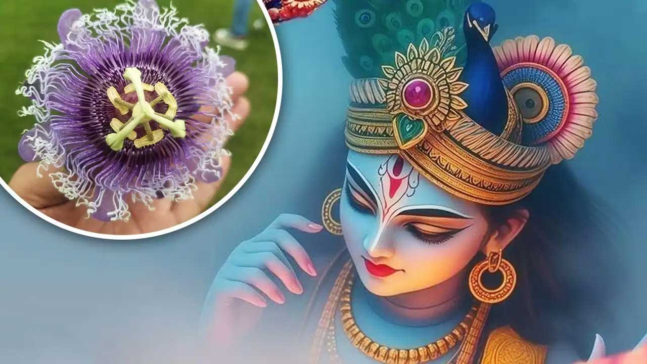 कृष्ण जन्माष्टमी से पहले खरीद लें ये 5 चीजें, घर में बनी रहेगी सकारात्मकता