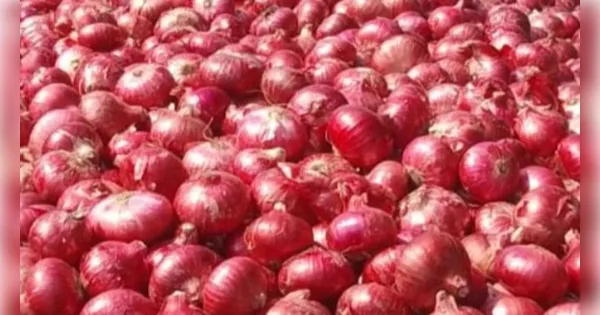 त्योहारी मांग और बारिश से प्याज महंगा, चीनी को दे रहा टक्कर