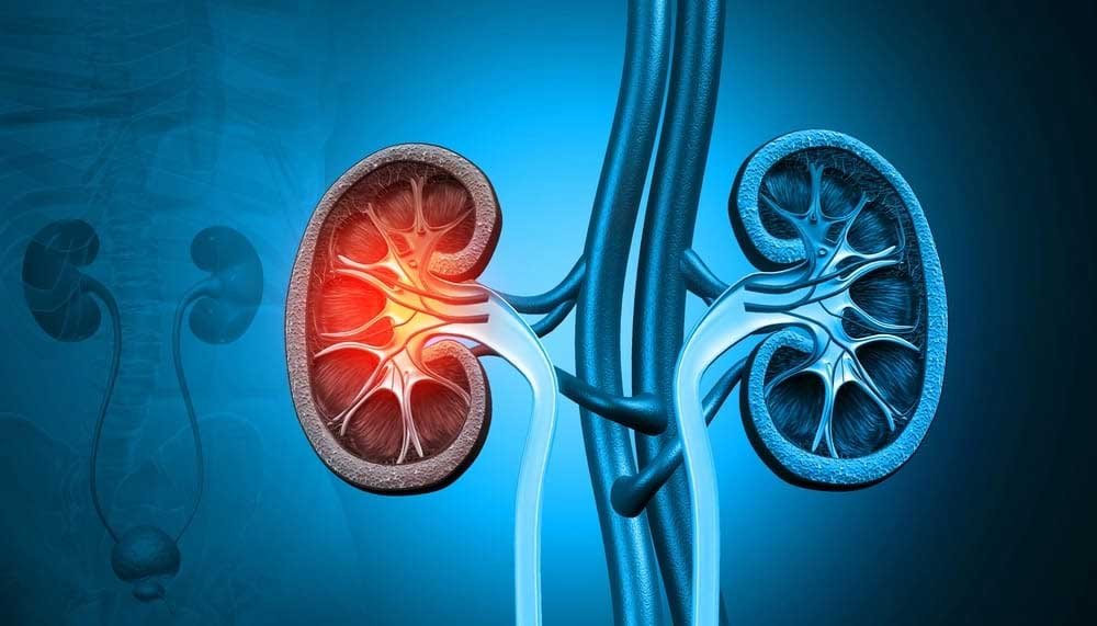 Kidney Failure Signs: किडनी की हालत बिगड़ने पर शरीर में दिखते हैं ये 5 बदलाव